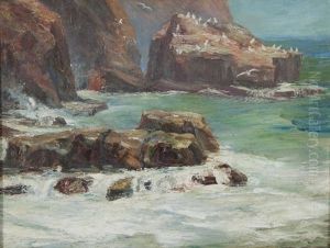 The Gull Rock, Near Zennor