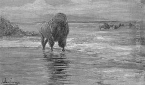 Plains Landscape With Bison In Water Plains Landscape With Bison In Water