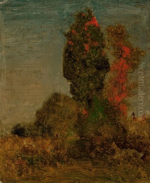 Autumn Trees - view 1