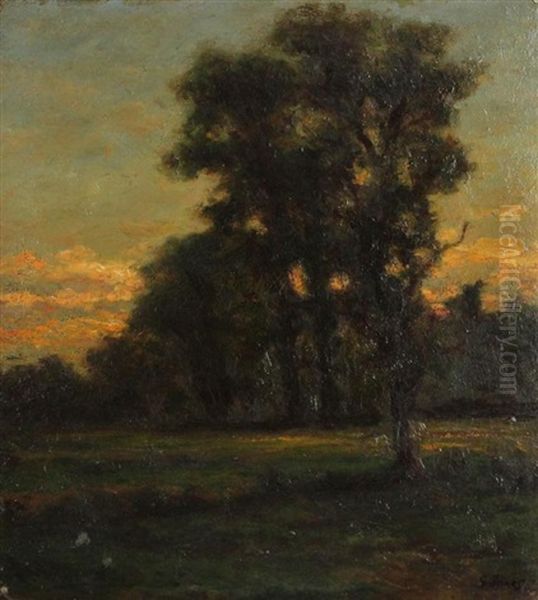 Tree - view 1