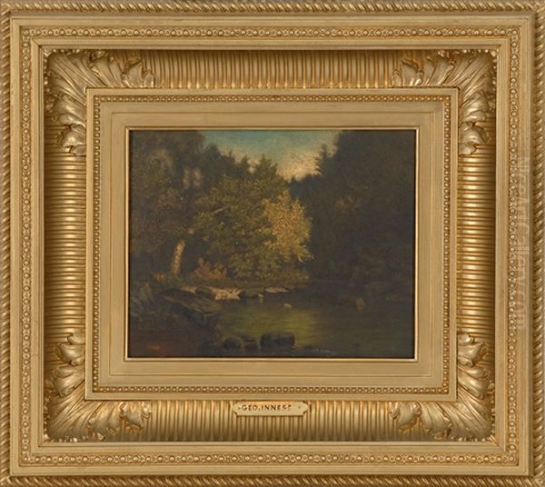 A Secluded Forest Pool - view 1
