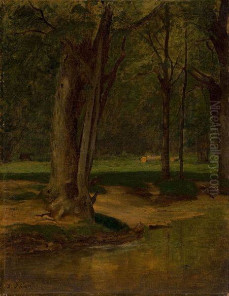 Trout Stream, North Conway - view 1