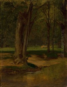 Trout Stream, North Conway