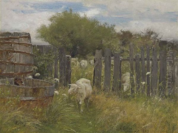 Back Of Nichols Barn, Sconset - view 1