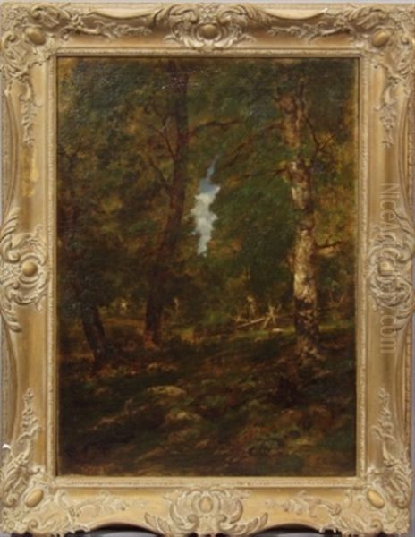 Woodland Landscape - view 1