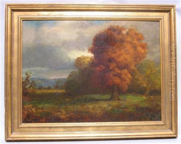 Autumn Landscape - view 1