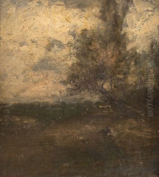 The Old Tree (fragment) - view 1