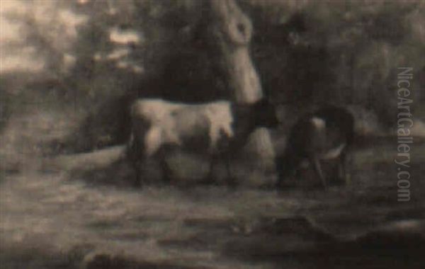 Cattle Grazing - view 1