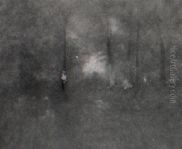 Interior Of A Wood - view 1