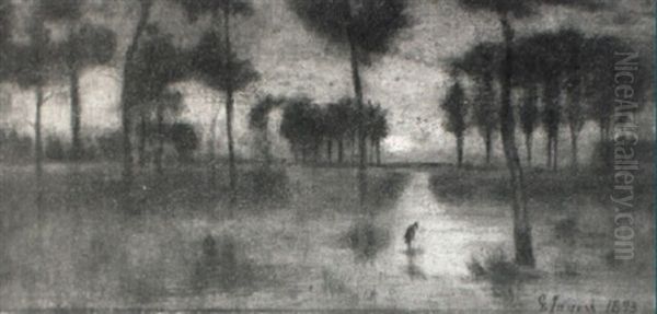 Swamp Scene At Sunset - view 1
