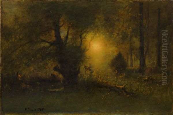 Sunrise In The Woods - view 1