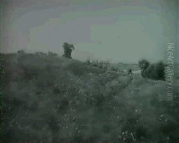 Nature's Garden - view 1