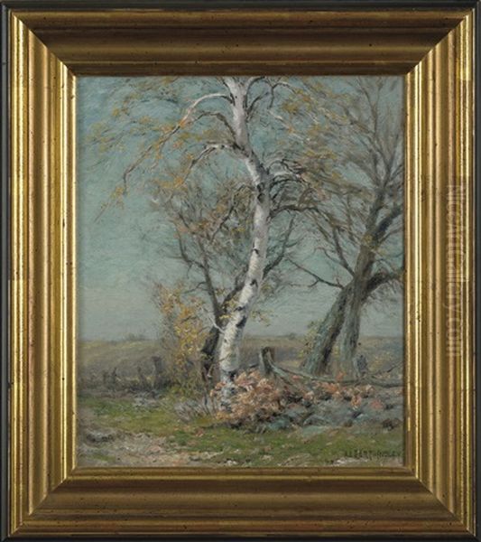 Birch By The Side Of A Road - view 1
