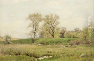 Landscape by Albert Babb Insley