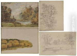 Four Sketches by Albert Babb Insley