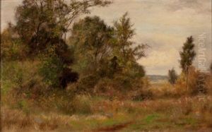 Rural Summer Landscape by Albert Babb Insley