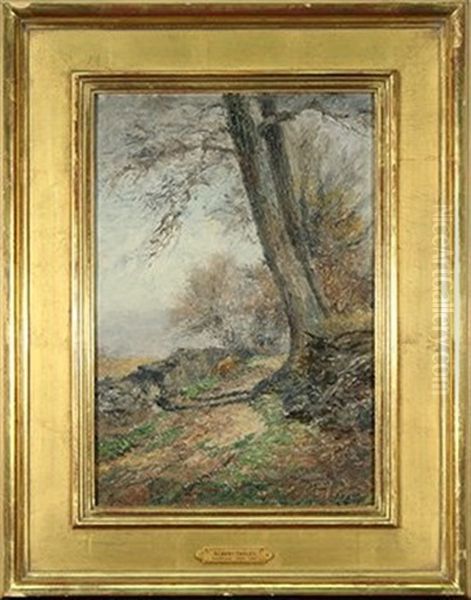 Path Thru The Woods - view 1