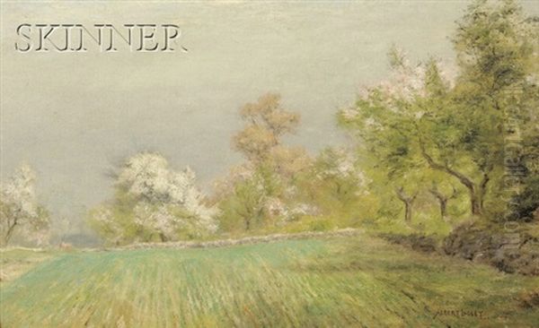Spring Landscape - view 1