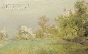 Spring Landscape Spring Landscape