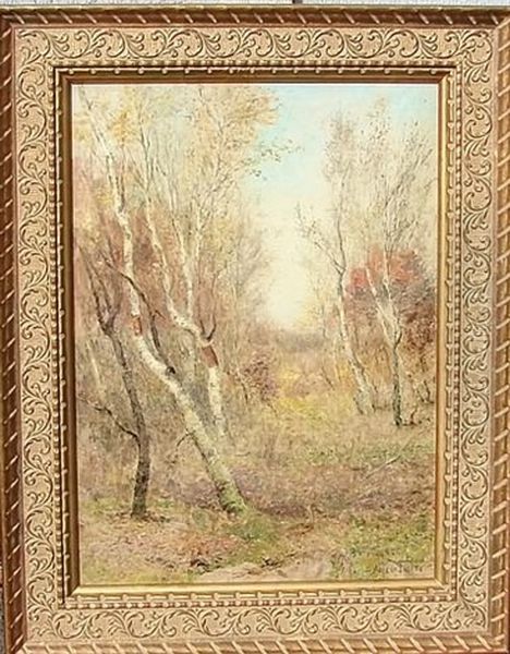 Birches In Autumn, Near South Salem, Ny - view 1
