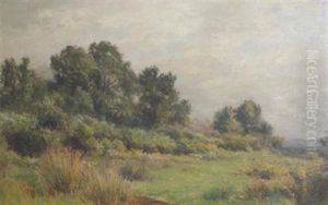 Verdant Landscape Verdant Landscape