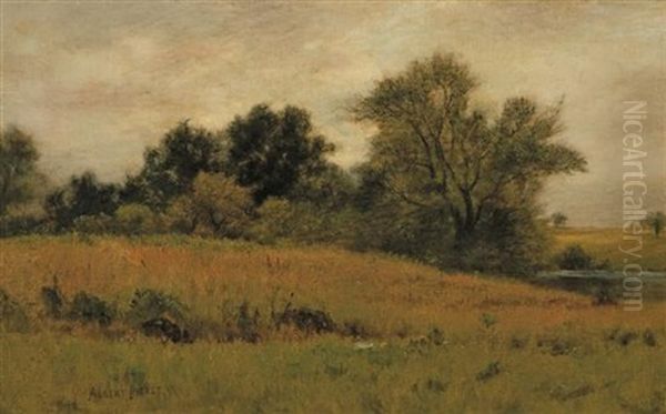 Summer Landscape - view 1