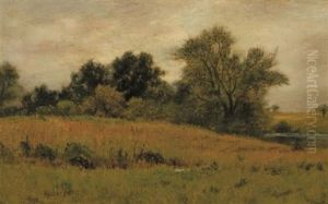 Summer Landscape Summer Landscape