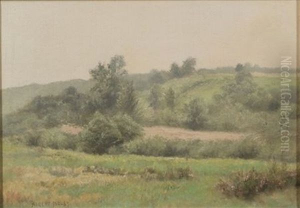 Spring Landscape - view 1