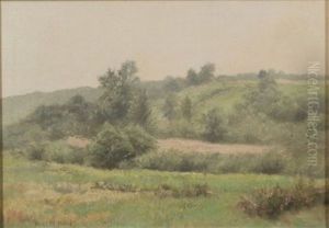 Spring Landscape Spring Landscape