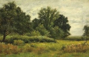 Summer Meadow Summer Meadow