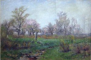Spring Scene Spring Scene