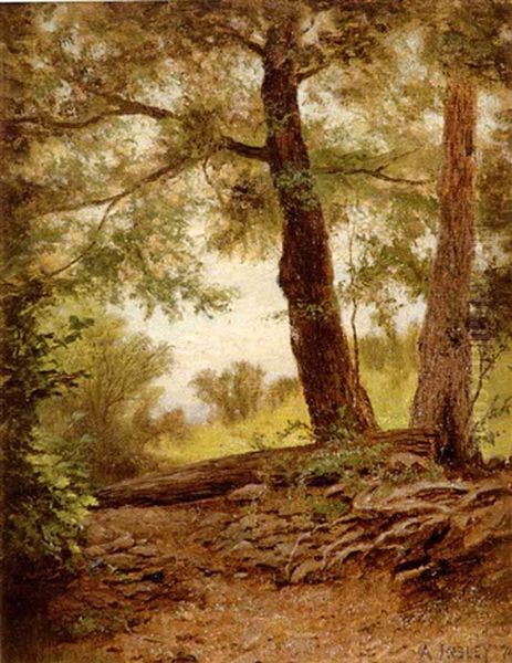 Pathway To The Highlands - Upper Hudson Valley - view 1