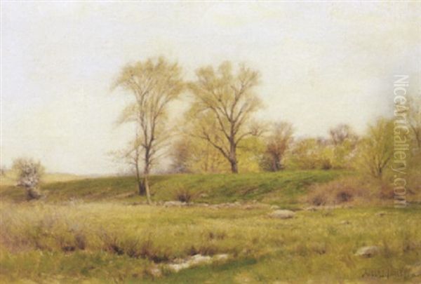 Spring Landscape - view 1
