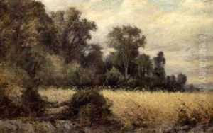 Golden Meadow Golden Meadow