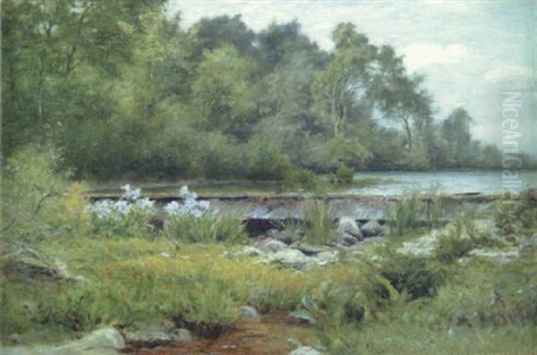 Rocky Stream - view 1