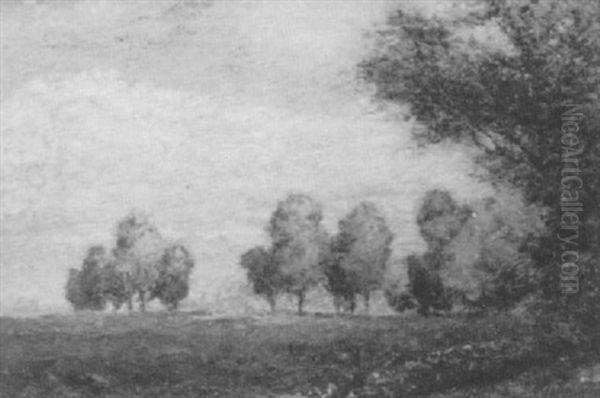 Summer Landscape - view 1