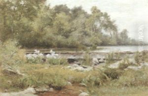 By The Pond In Summer By The Pond In Summer
