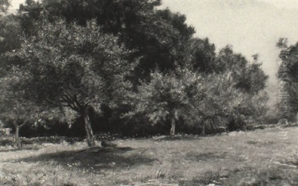The Insley Orchard, Nanuet, New York - view 1