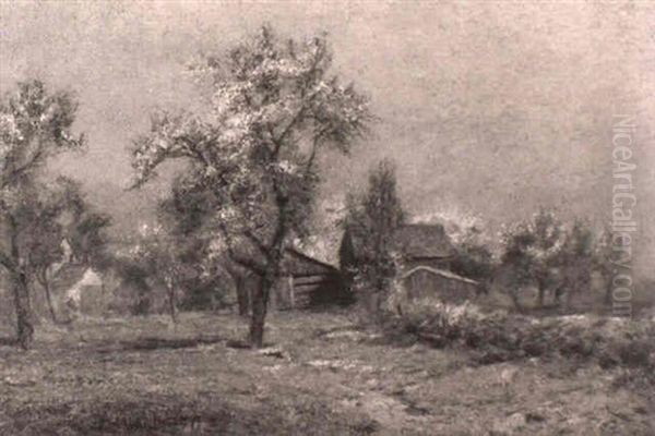 The Orchard In Bloom - view 1