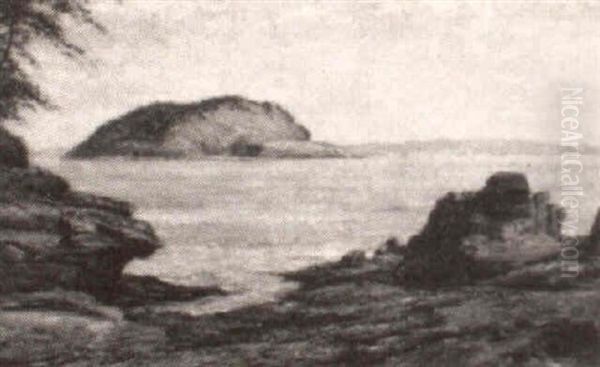 Porcupine Island, Off Bar Harbor - view 1