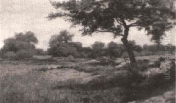Summer Landscape - view 1