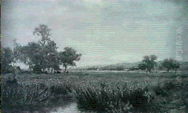 Summer Landscape - view 1