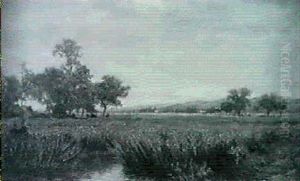Summer Landscape Summer Landscape