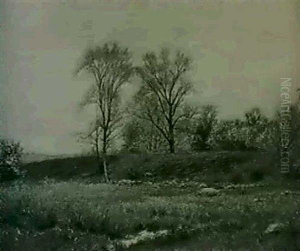 Grassland - view 1