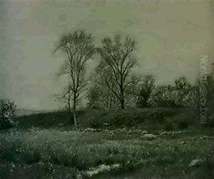 Grassland by Albert Babb Insley