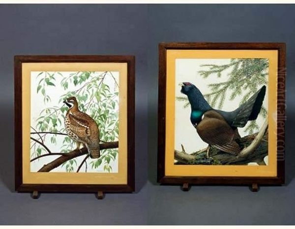 Coq De Bruyere Et Poule - view 1