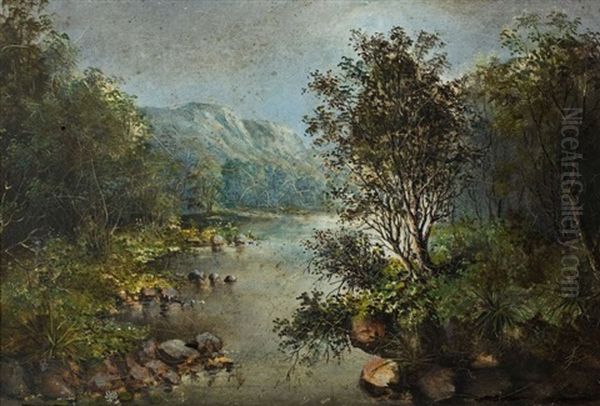 River Landscape With Mountains In The Background - view 1