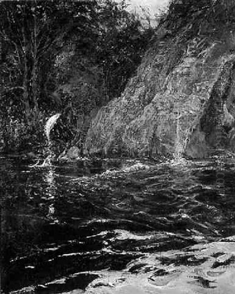 A Salmon Pool - view 1