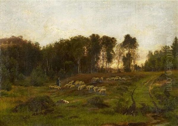 Abendstimmung Am Waldrand Mit Schafer - view 1