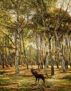 Hirsche Im Wald Hirsche Im Wald